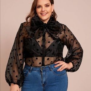 NWOT Elegant sheer polka dot blouse